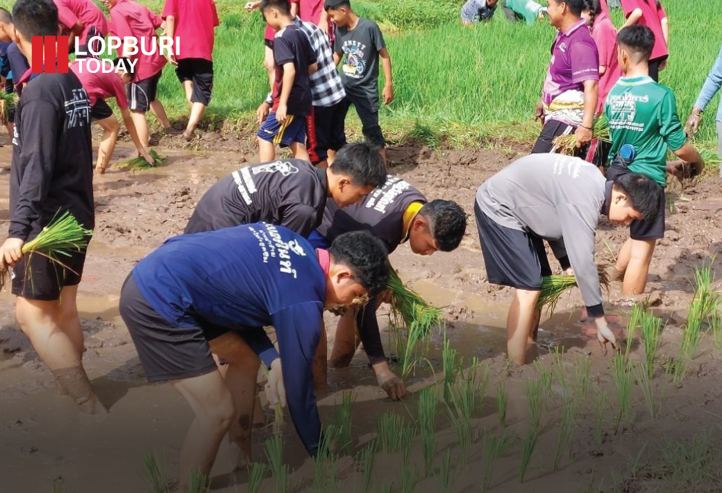 โรงเรียนอัสสัมชัญคอนแวนต์ลำนารายณ์ นำคณะครู นักเรียนร่วมทำกิจกรรม ดำนา ณ แปลงนาสาธิตของโรงเรียน เพื่อเสริมสร้างประสบการณ์และทักษะชีวิตในพื้นที่จริง โดยการทำนา เป็นอาชีพที่คู่กับคนไทยมาอย่างช้านาน 