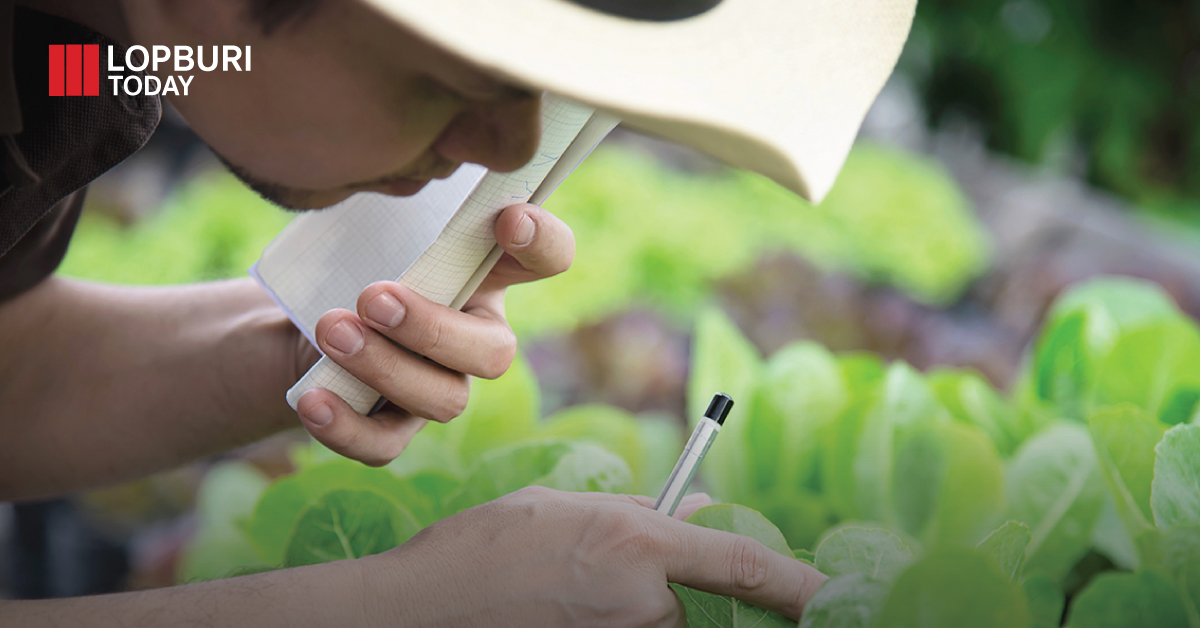 รับสมัครฝึกอบรม “ผู้ประกอบการมืออาชีพด้านเกษตรอัจฉริยะ”